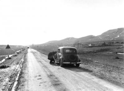 : der Straße nach Simferopol auf der Krim. (1943).jpg